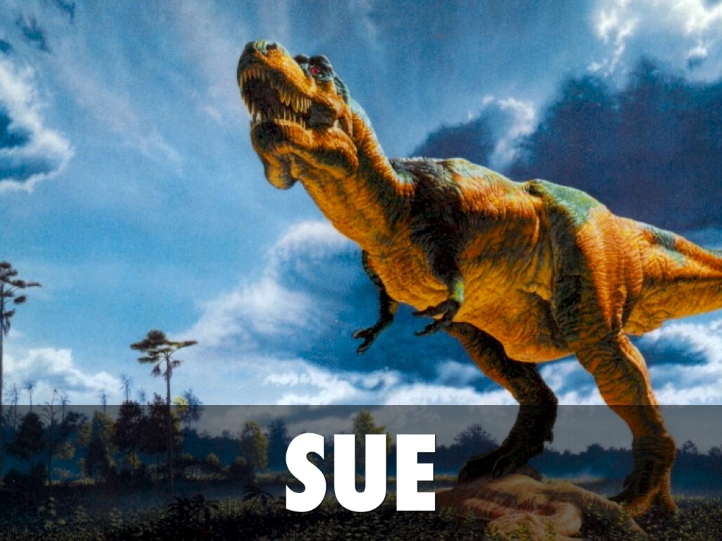 Sue