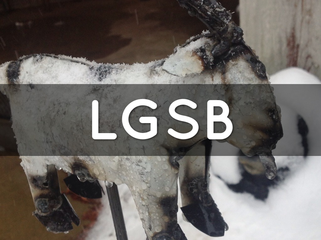 The Lazy Goat String Band