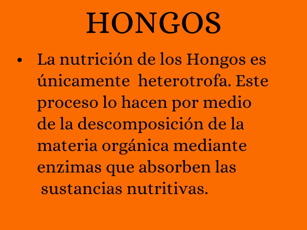 NUTRICIÓN by alvaromora2345