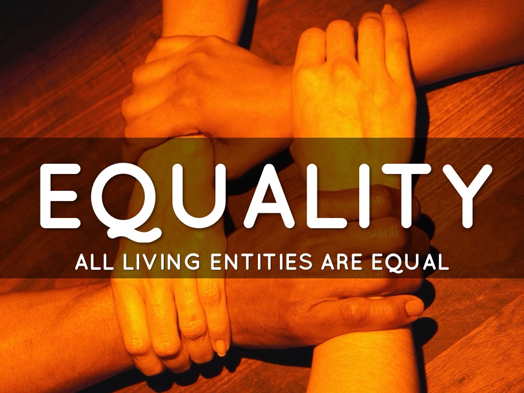 Practical freedom kant image