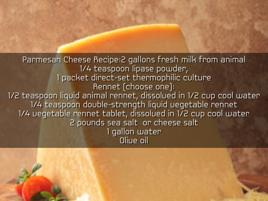 Enzymes In Foods And Their Recipes by Awais Arshad