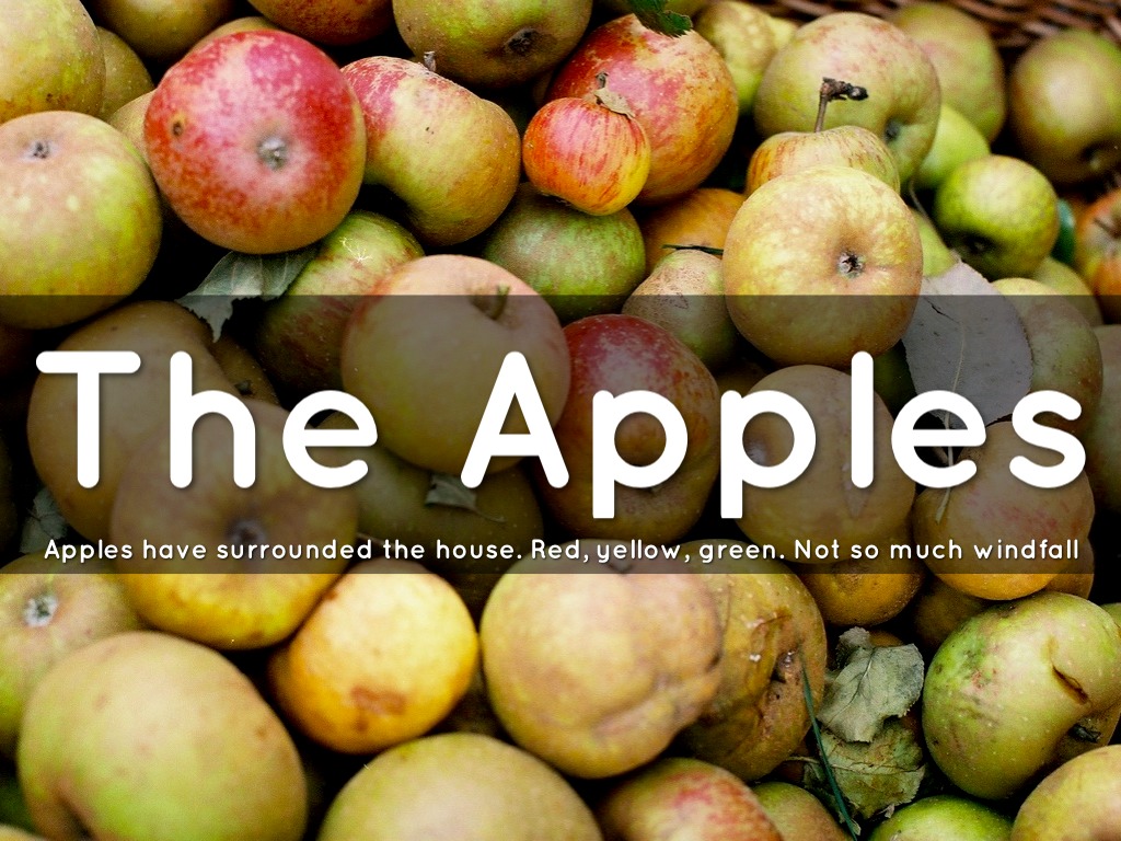 The Apples
