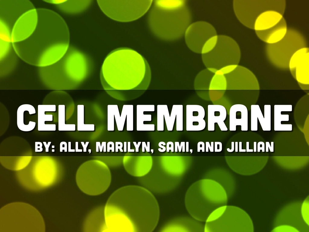 Copy of Cell Membrane 