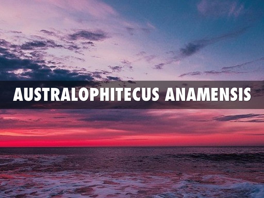 AUSTRALOPHITECUS ANAMENSIS