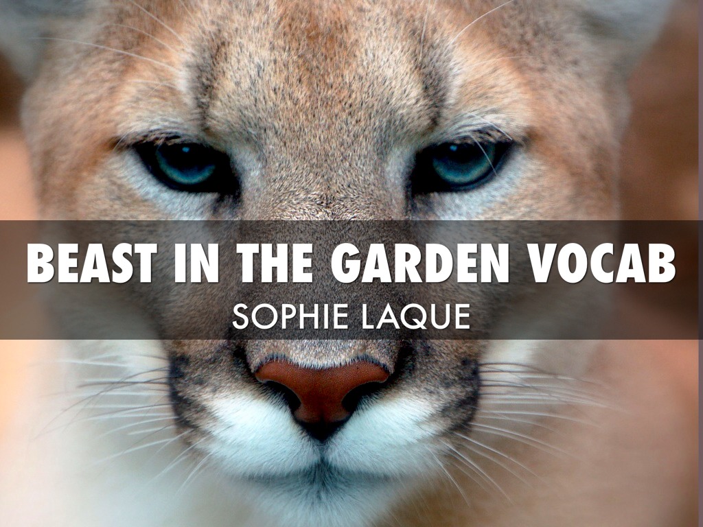 Beast Vocab