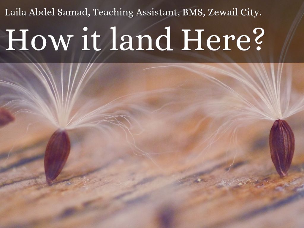 Copy of Hope You Enjoyed The Ride ;)