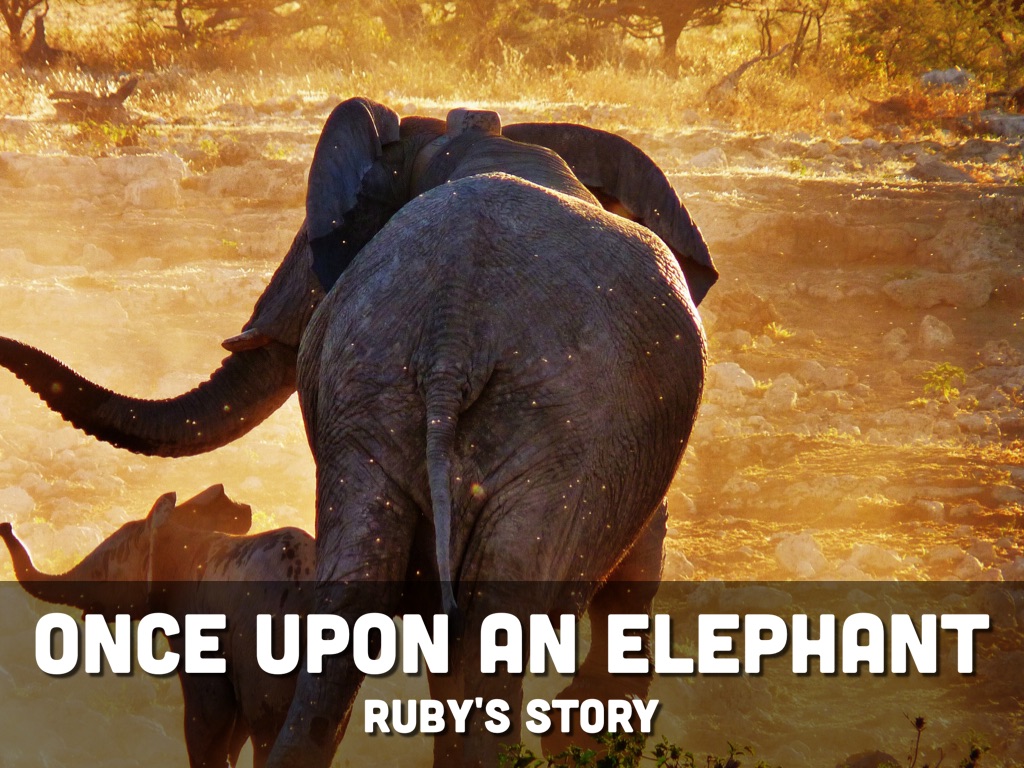 Once Upon An Elephant 