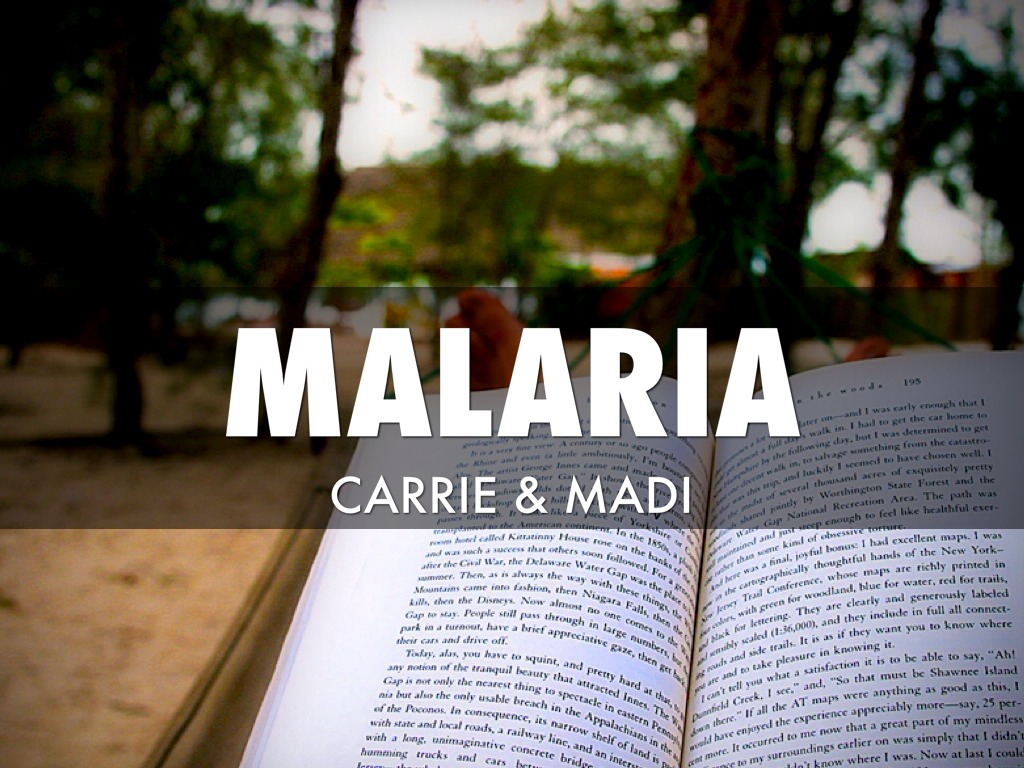 Malaria 