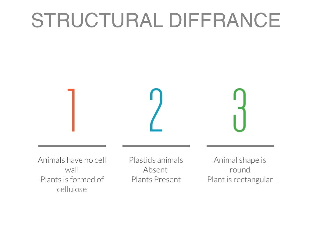 Structal Differences Cell by Jacob Lawrence