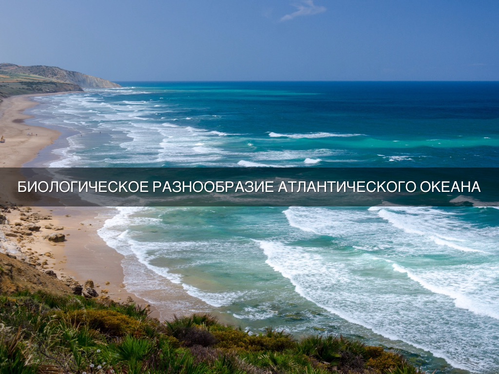 Атлантический Океан