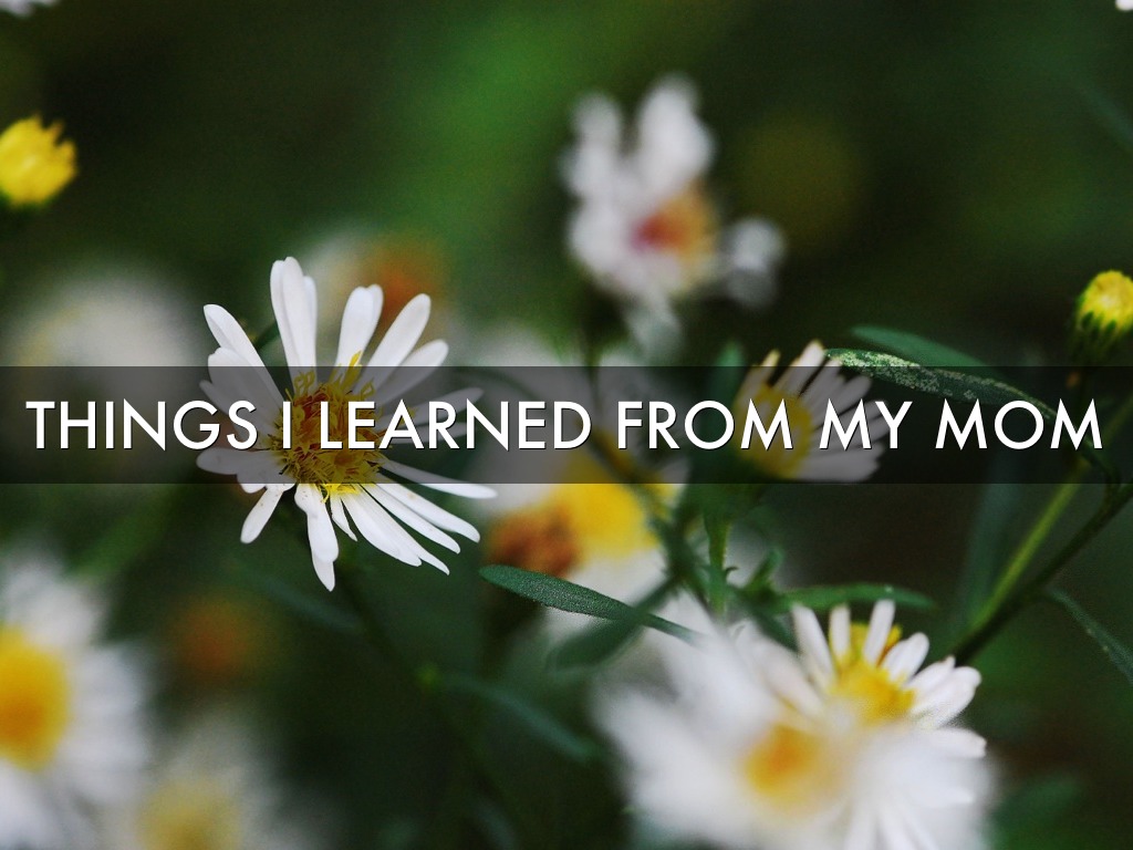Things I Learned From My Mom