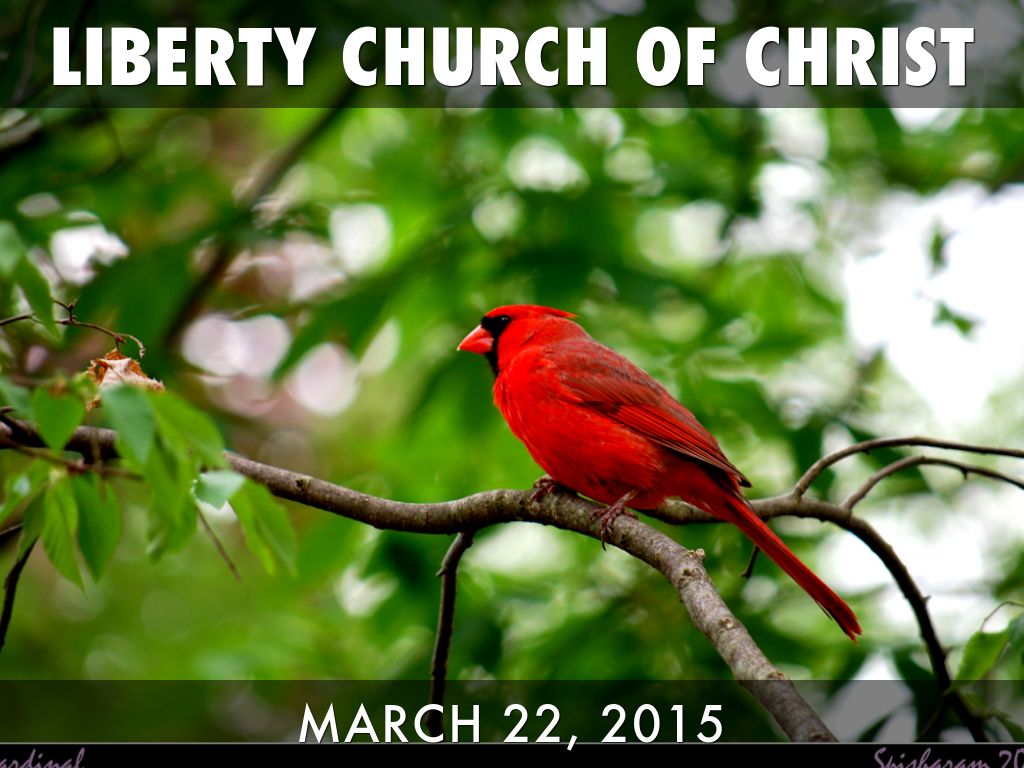 LIBERTY CHURCH OF CHRIST