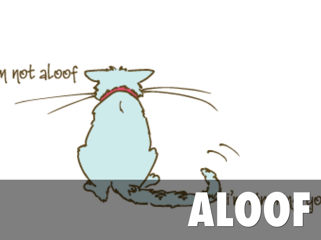 aloof in a sentence aloof in a sentence