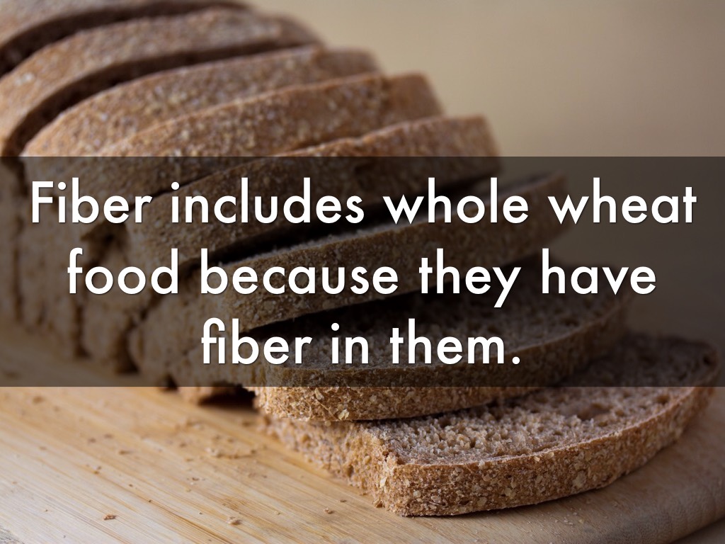 Fiber by Ashlyn Thimas