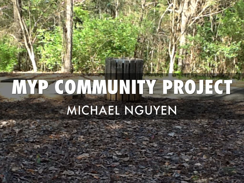 Community Project 