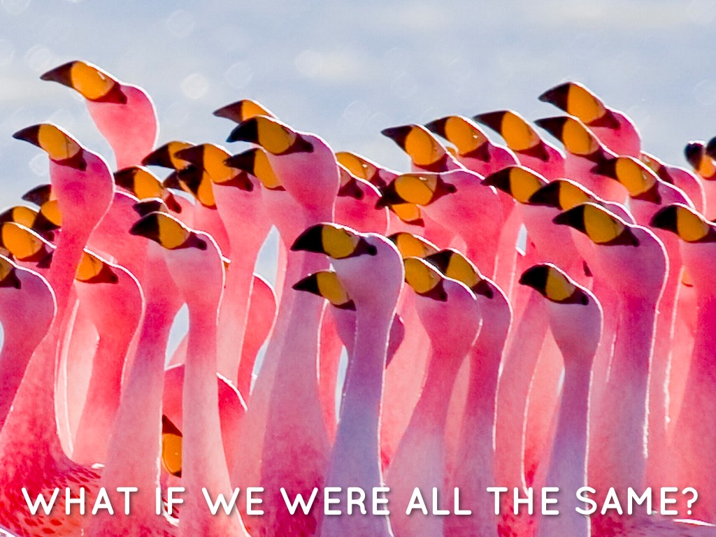 We listened to the same music?