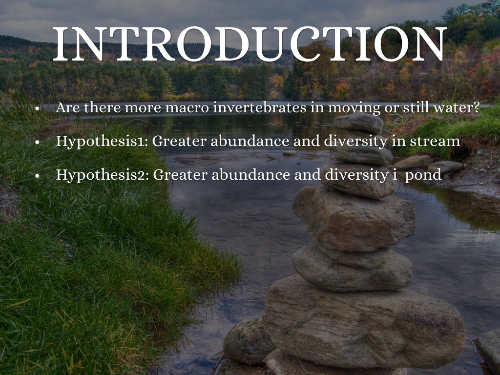 Comparison Of Macro invertebrate Abundance And