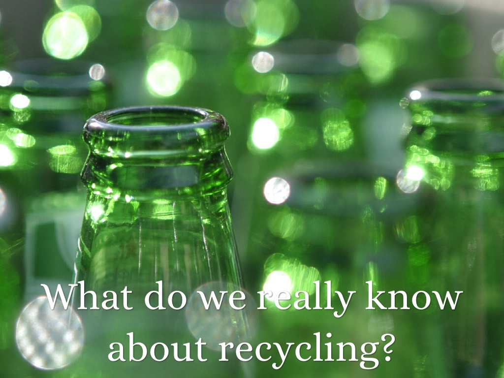 The Negatives Of Recycling by Sarah Maul