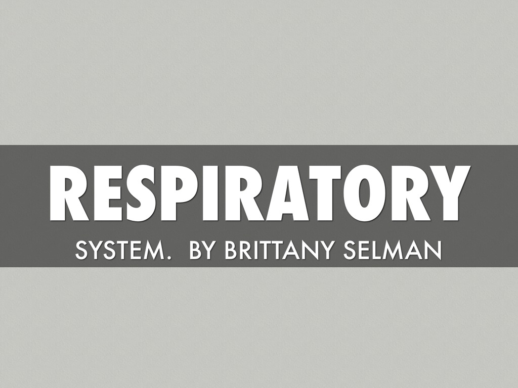 Respiratory System