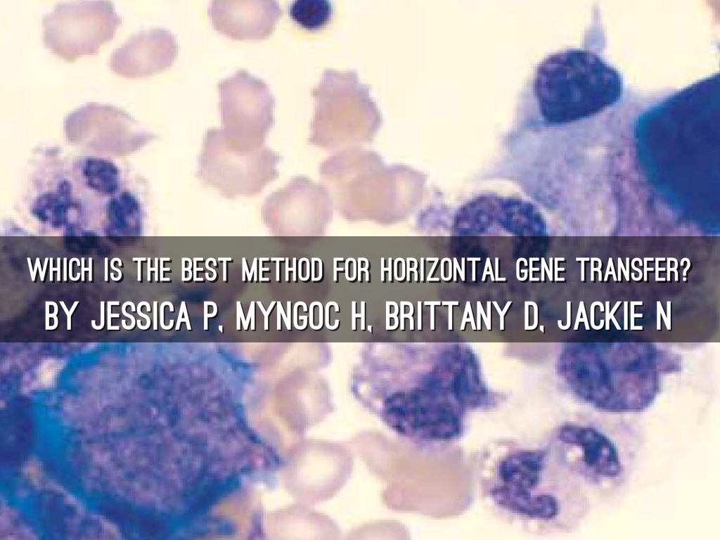 Which Method is Most Efficient?