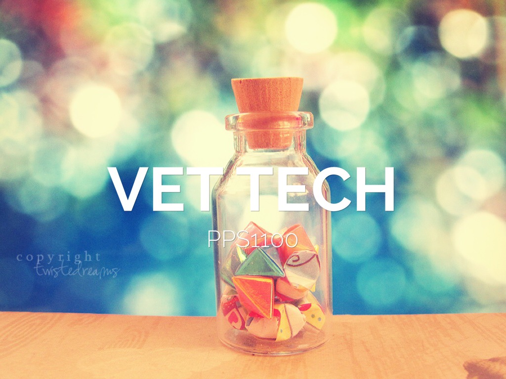 Vet Tech