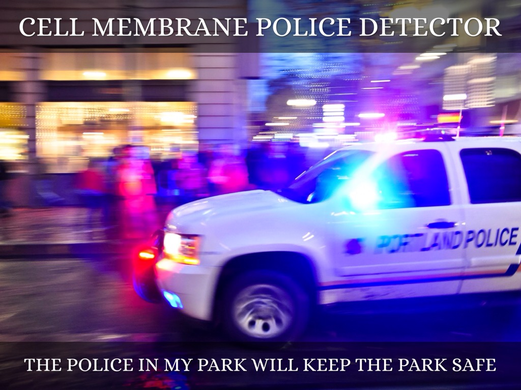 Cell Project Cell Cookie Park