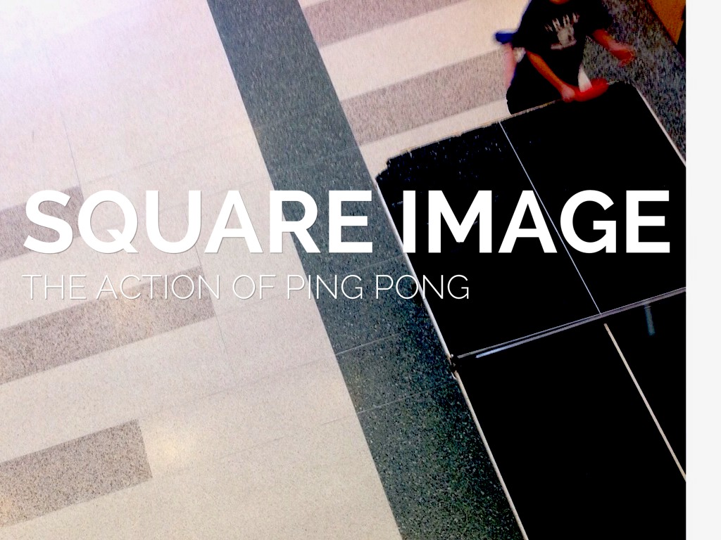 Carolyn Fritz's Photo Deck