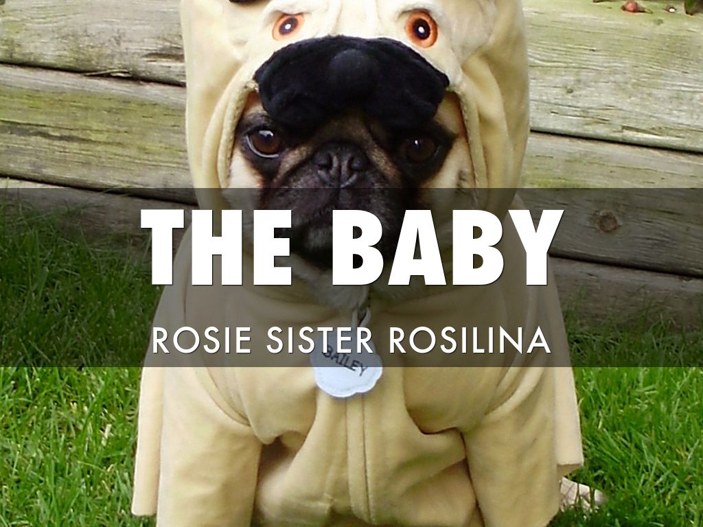 Rosie's Baby Sister