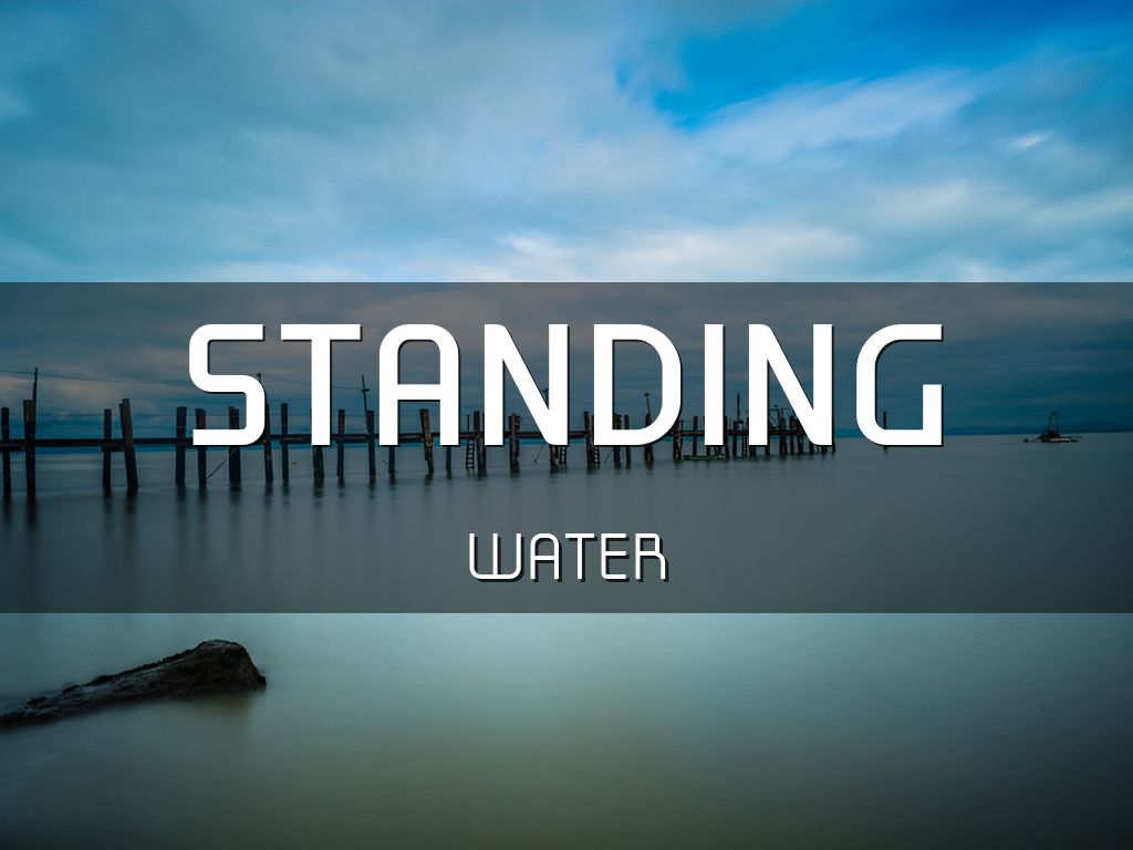 Science Ch 4 Lesson 3 by Mya D