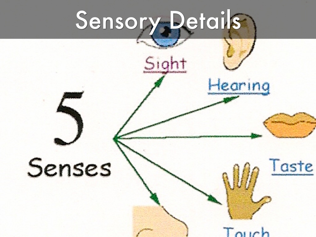 Sensory Details