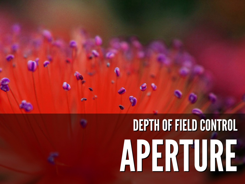 Aperture