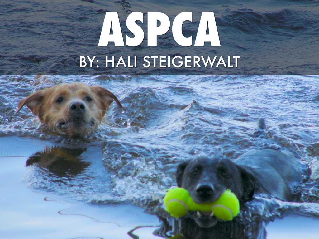 Aspca