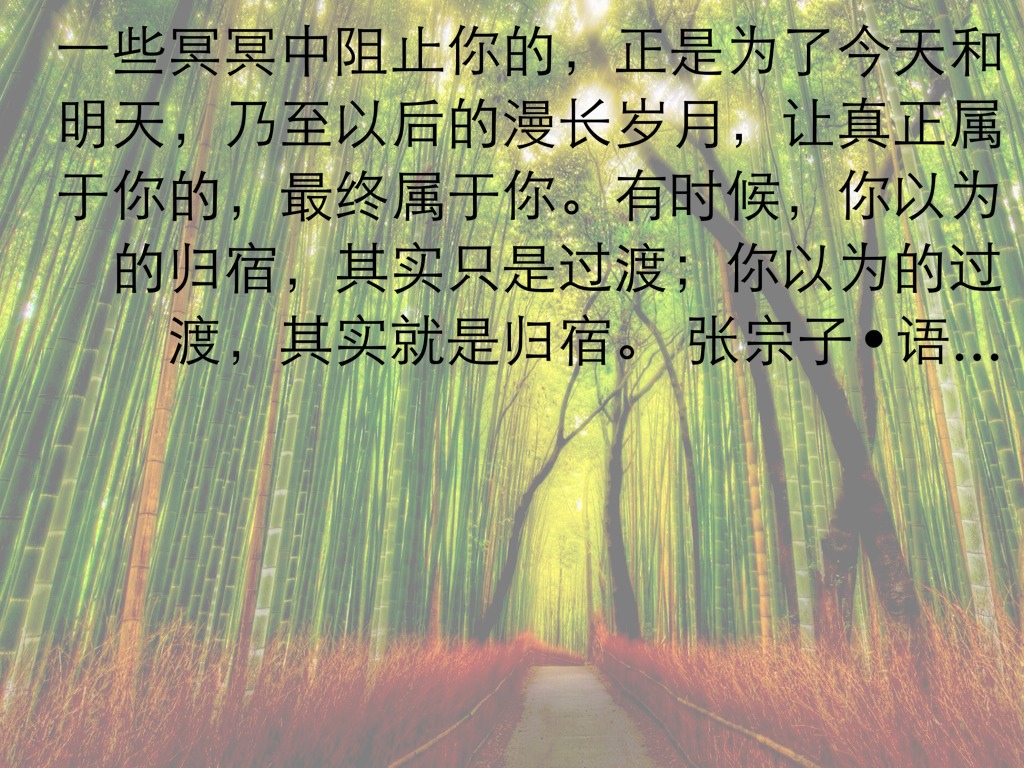 【重拾素读•贰】