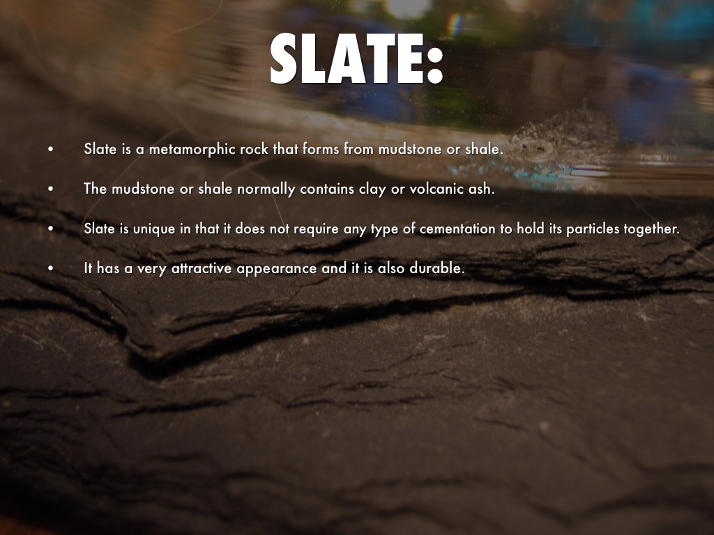 Introduction To My Pet Rock