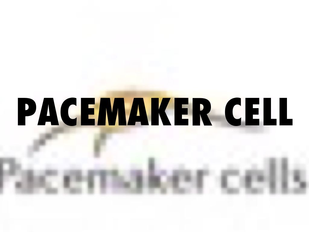 Pacemaker Cell