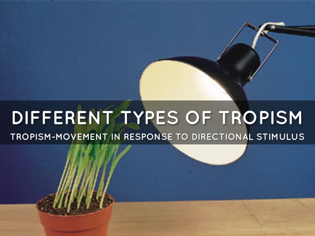 Tropism