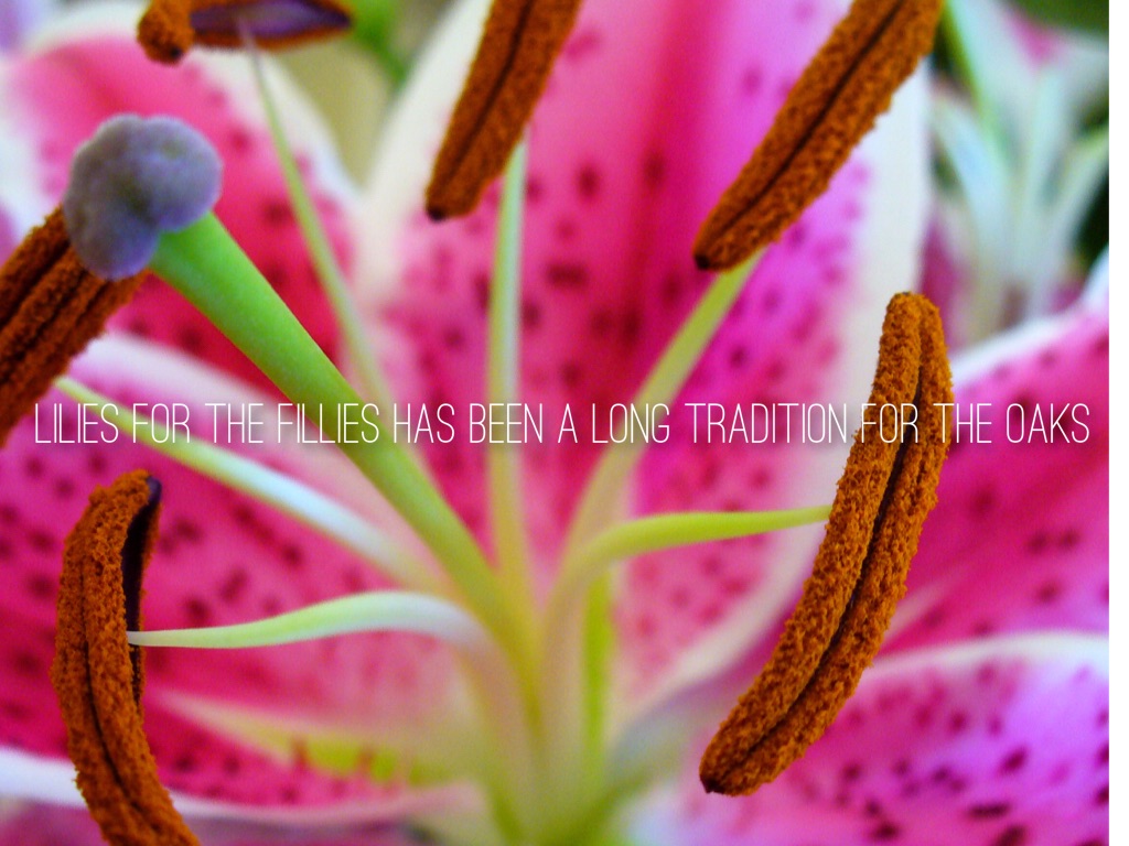 Lilies For The Fillies by Kelly Hynes