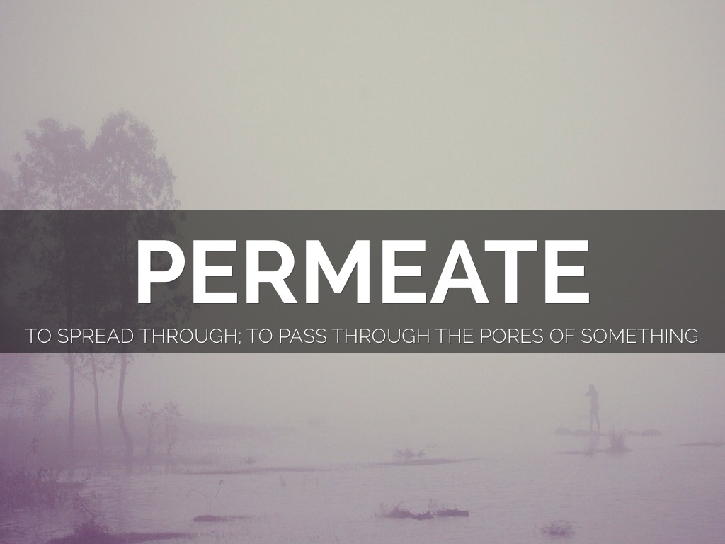 Quarter 2 Vocabulary Words