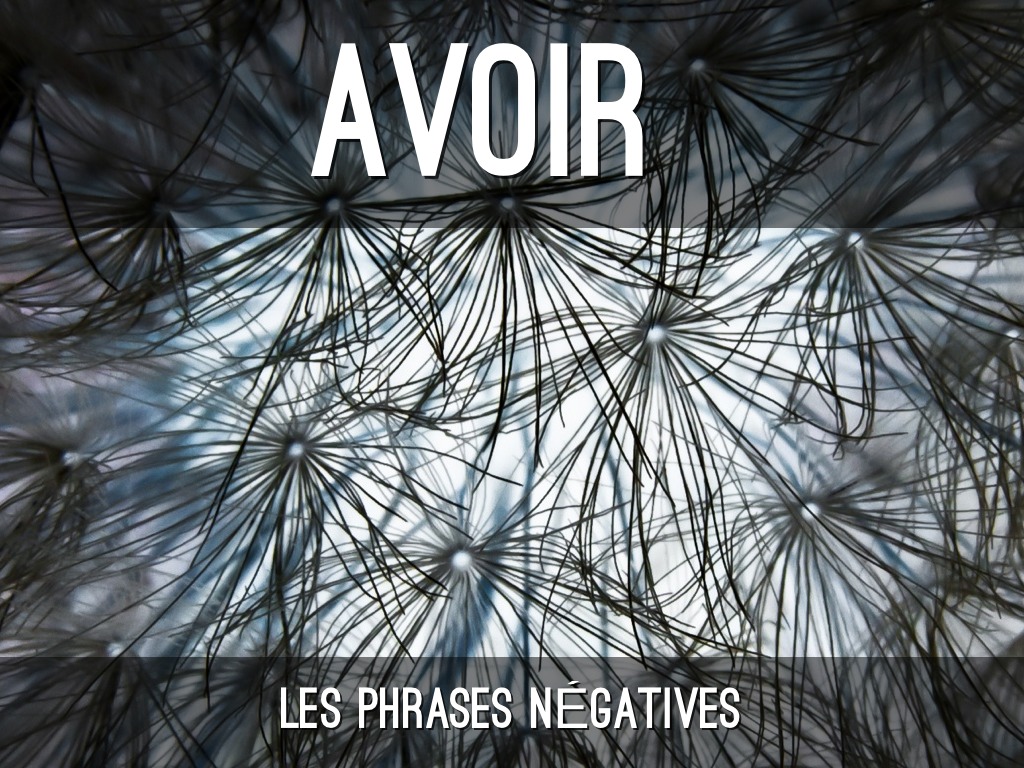 Avoir Et Être