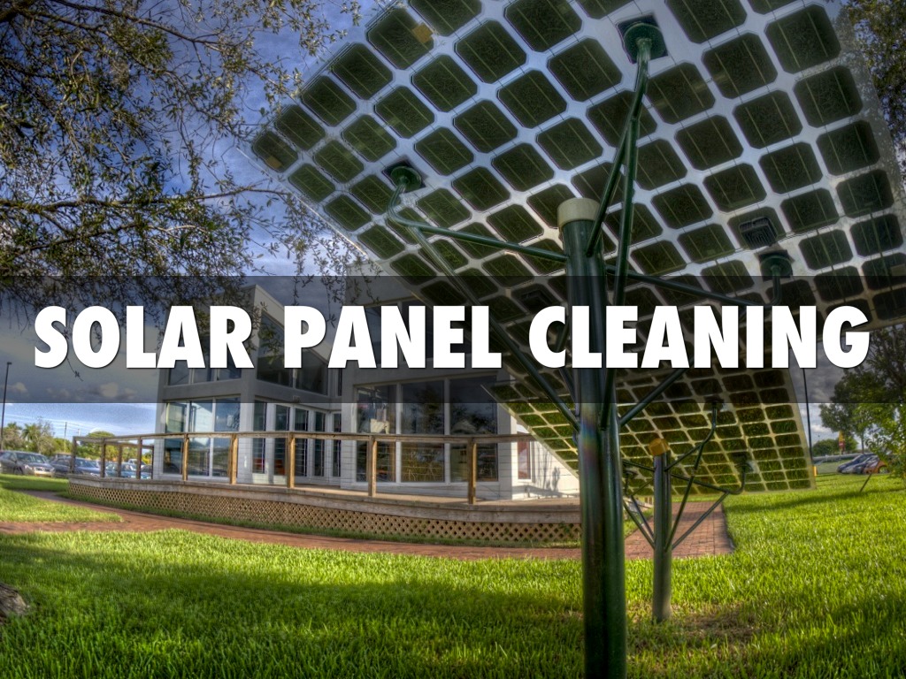 Solar panel Cleaning