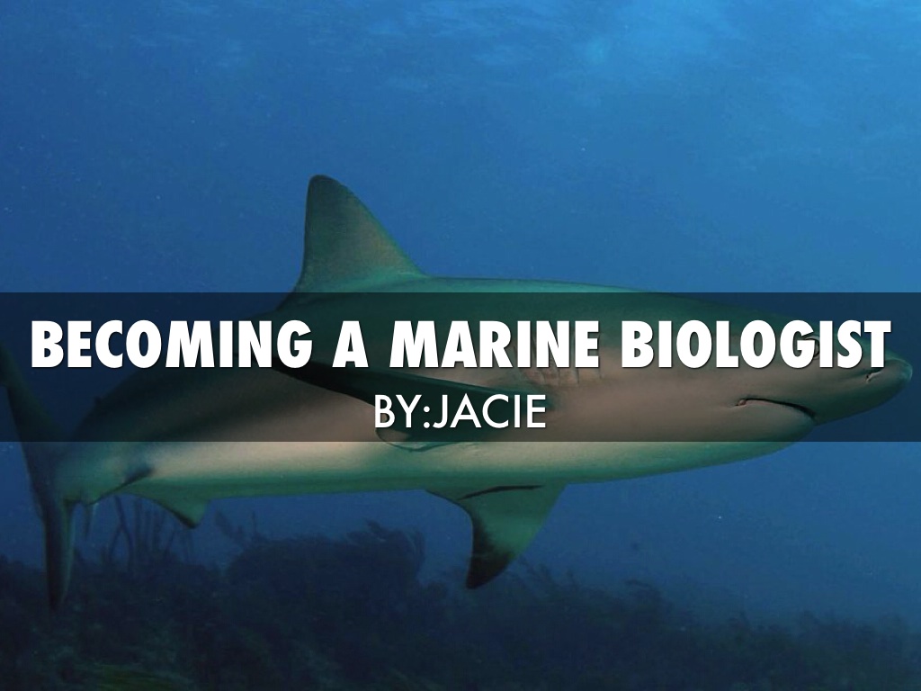 Becoming A Marine Biologist
