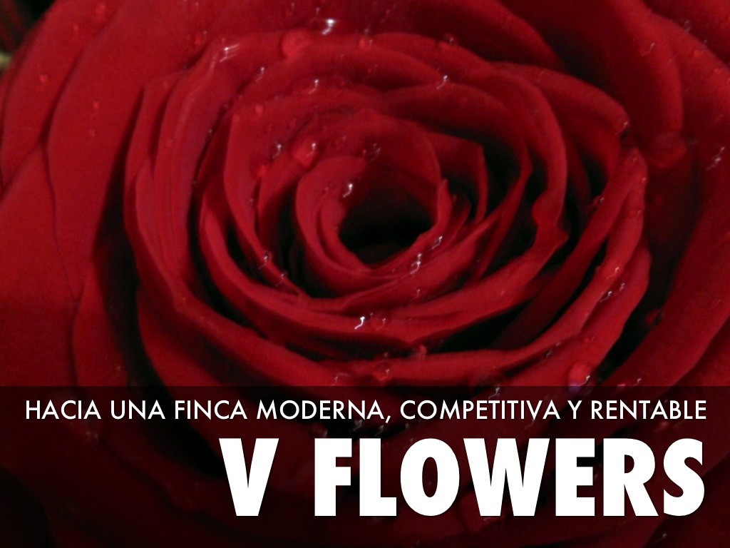 Vflowers