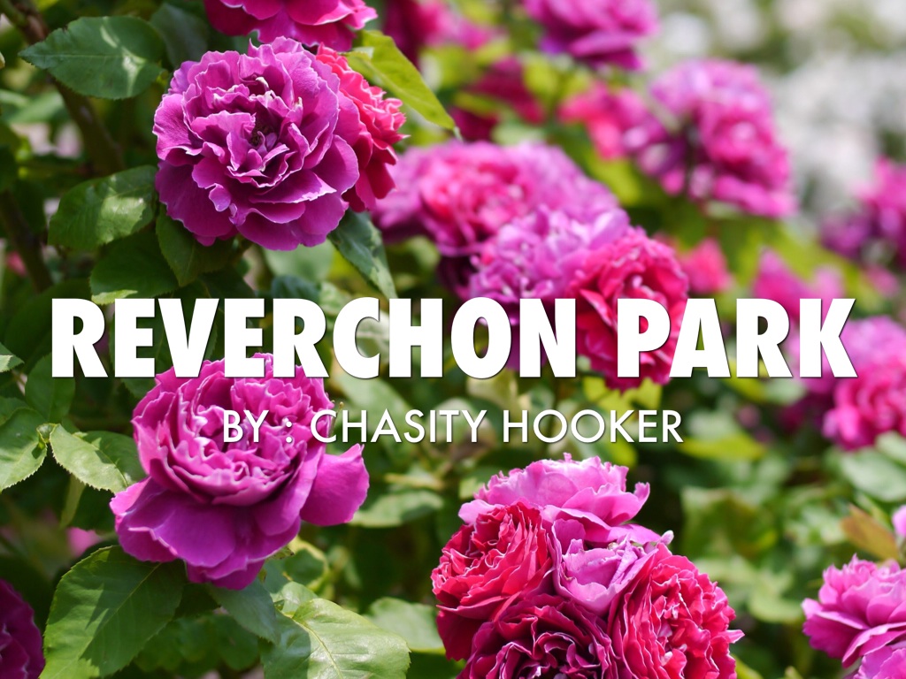 reverchon park new format 