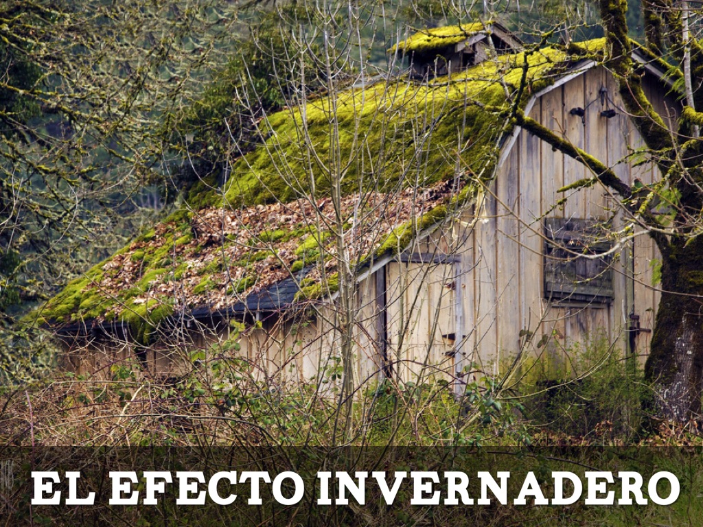 Unit 3/lesson 1 Vocab