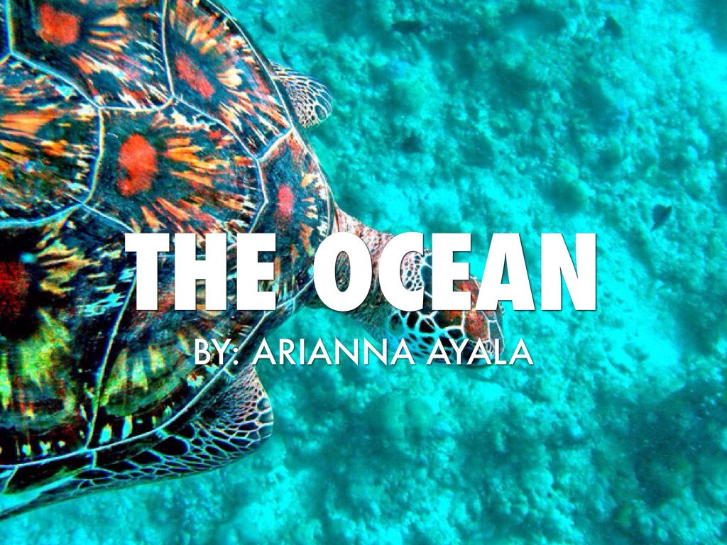 The Ocean