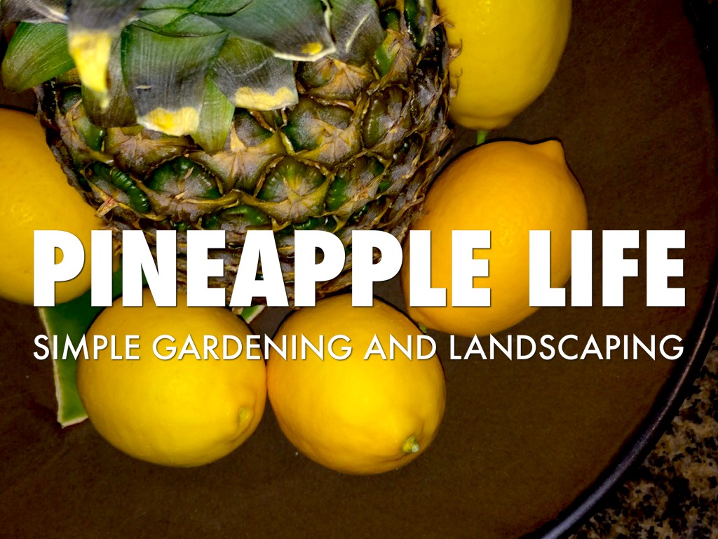 Gardening And Landscaping