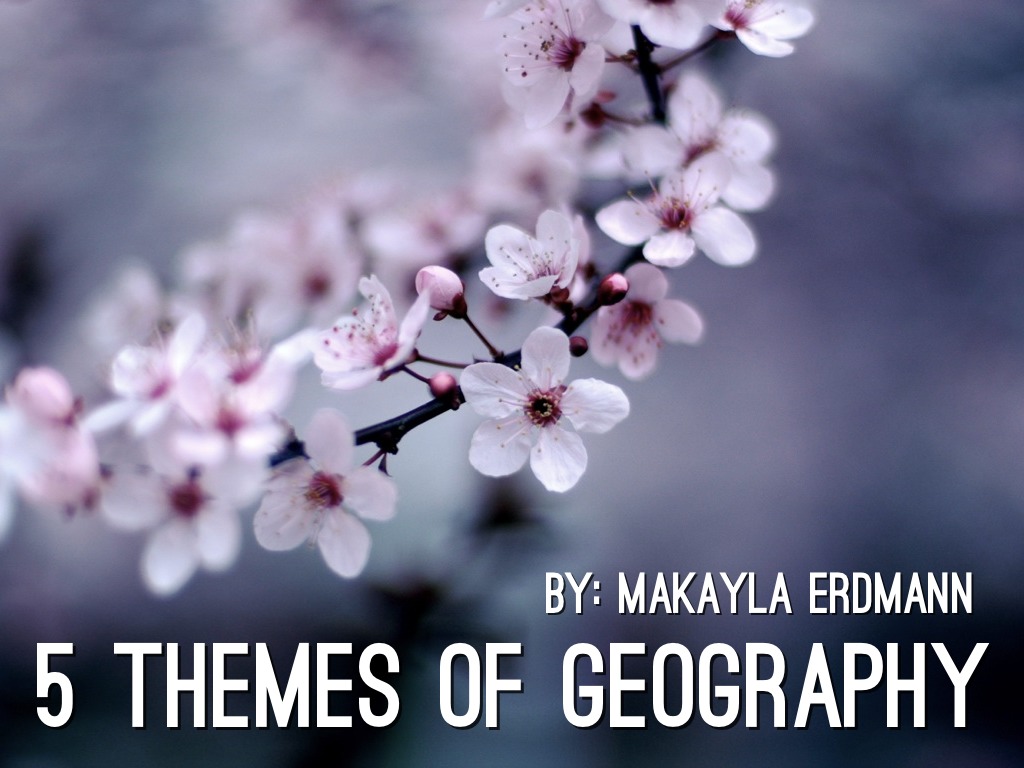 5 Themes  MaKayla Erdmann