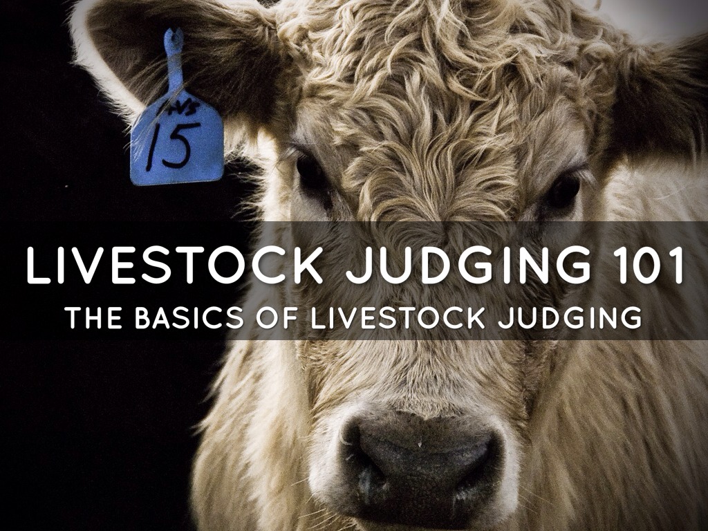 App Smashing by tjardine