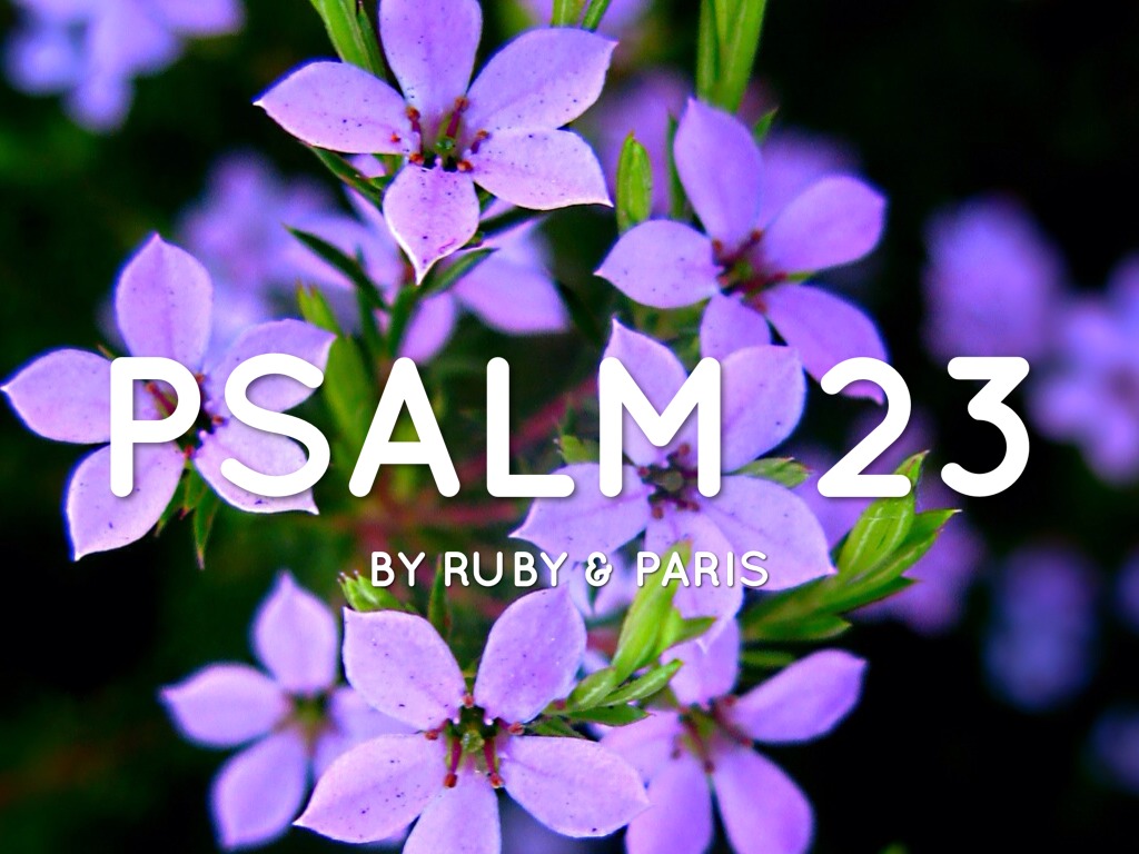 Psalm 23