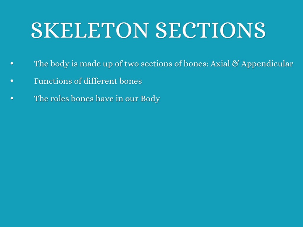 What are bones made of picture